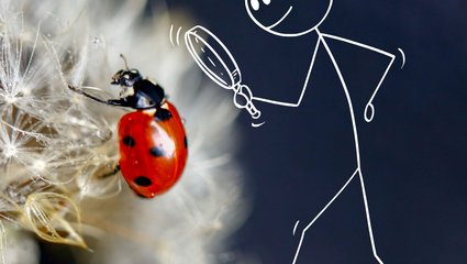 Foto: Eleonora Cagol © Museen der Stadt Bamberg, mit Hilfe von KI