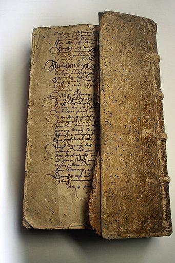 Gerichtsbuch 1547-1556; Hinterer Deckel durch Holzwurmbefall stark geschädigt; Ergänzung des hinteren Deckels.