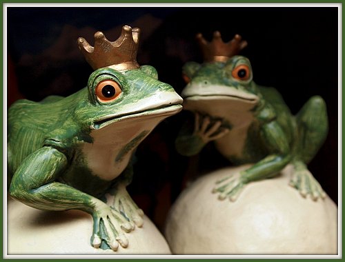 Der Prinz vom Teich Was der Froschkönig im Wasser erlebte Museen der