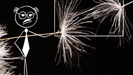 Foto: Eleonora Cagol © Museen der Stadt Bamberg, mit Hilfe von KI